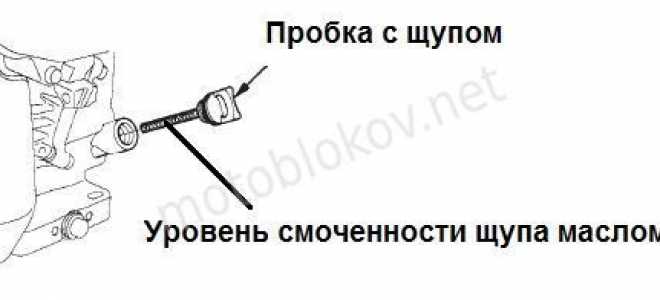 Сколько масла в двигателе мотоблока