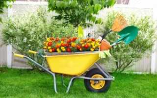 Строительство и садоводство при помощи тележек для сада